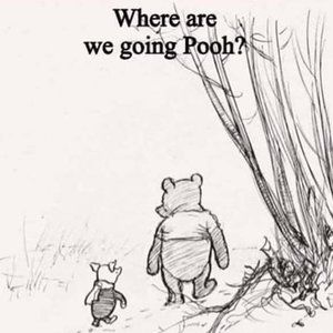 Meet your Posher, Ann